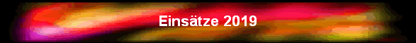 Eins�tze 2019